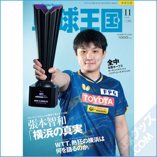 ��岦��2025ǯ11���