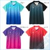V-GS501�ʥ����ॷ��ġ�