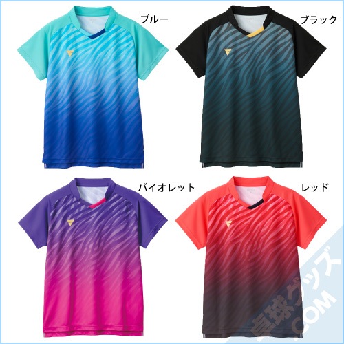 V-GS501�ʥ����ॷ��ġ�
