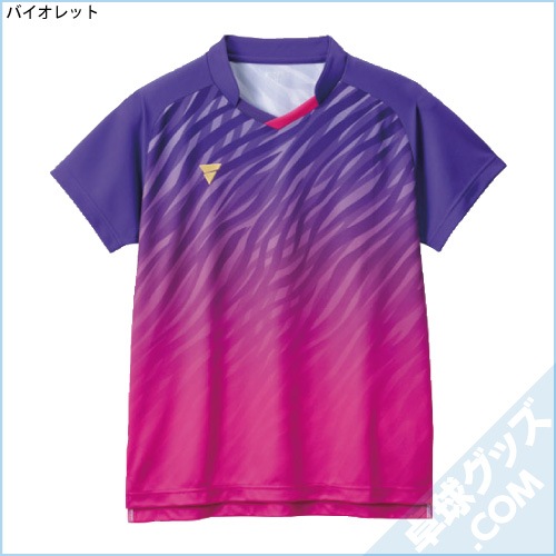 V-GS501�ʥ����ॷ��ġ�