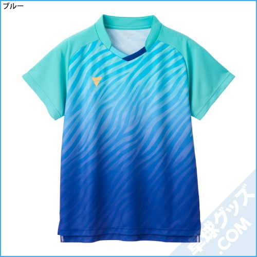 V-GS501�ʥ����ॷ��ġ�