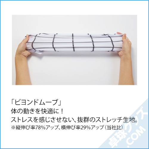 �쥤����å��奷���