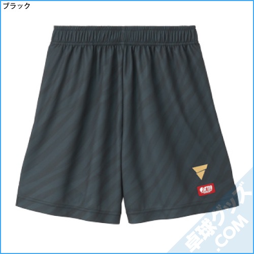 V-GP503ʥѥġ