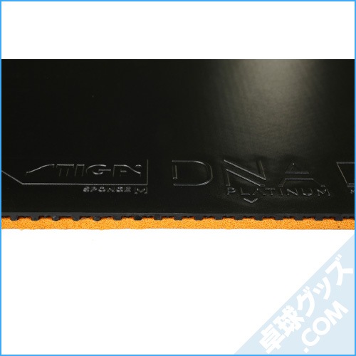 DNA�ץ���� M