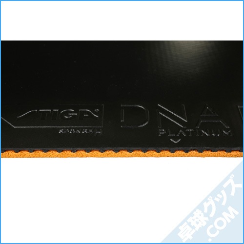 DNA�ץ���� H