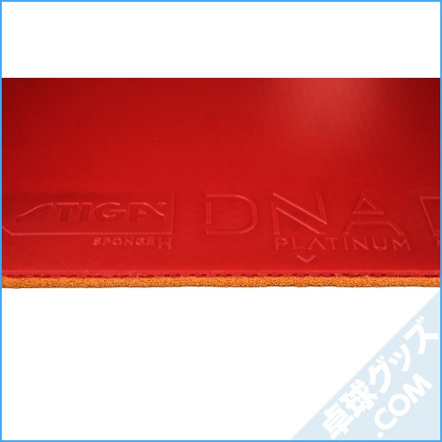 DNA�ץ���� H