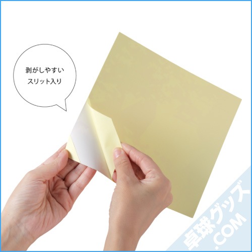 �����ݸ����