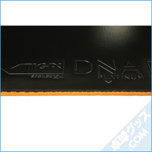 DNA�ץ���� XH