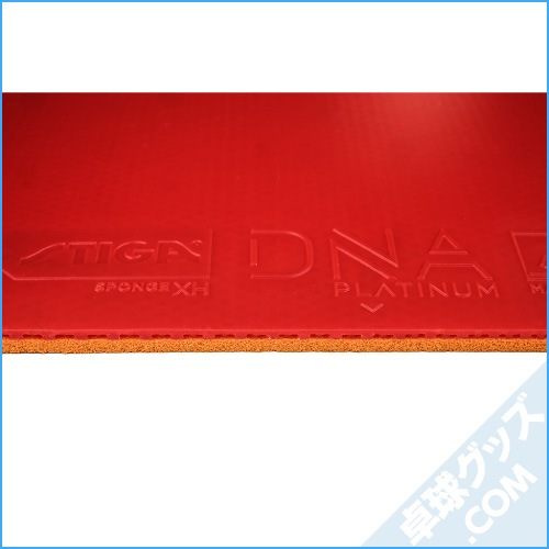 DNA�ץ���� XH