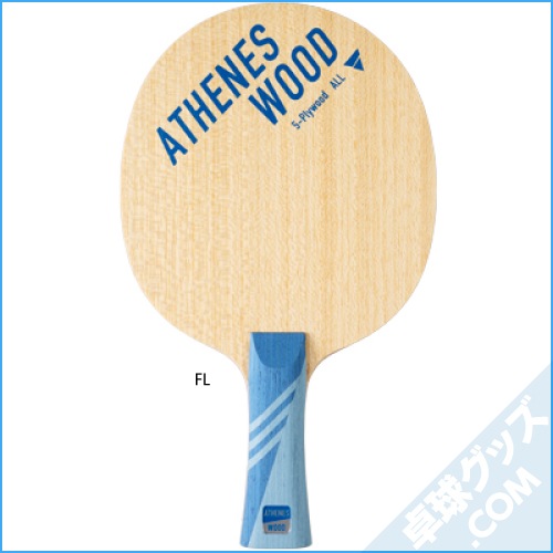 ���ƥͥ����å�