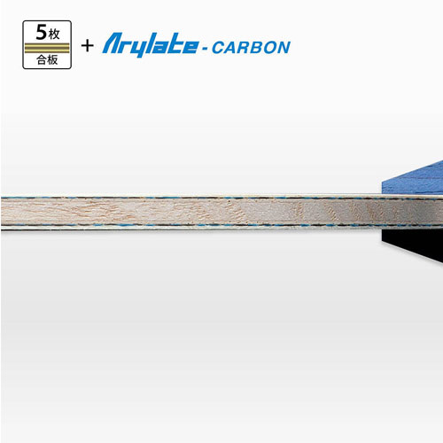 �ƥ���ܥ롦ALC