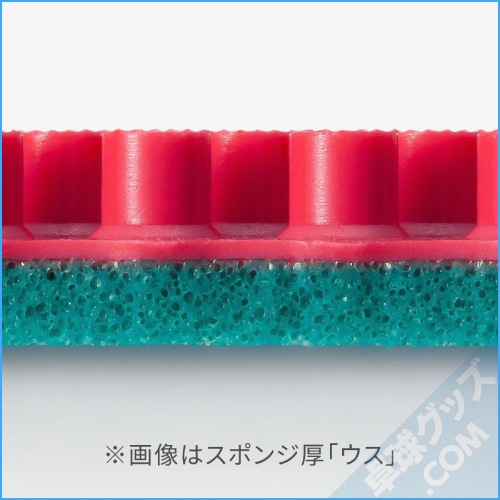 ���ꥦ��B Ķ����������0.5��