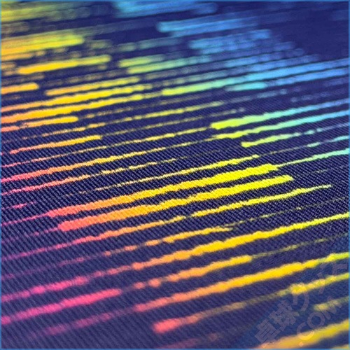 ��ͽ���ʡۥ��쥤���ȡ�T�����