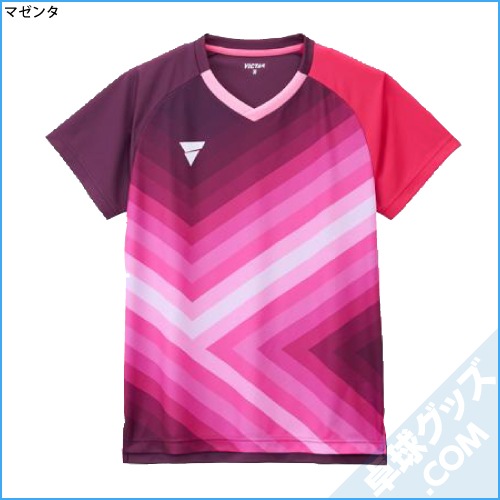V-GS550�ʥ����ॷ��ġ�