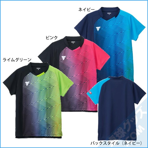 V-GS551�ʥ����ॷ��ġ�
