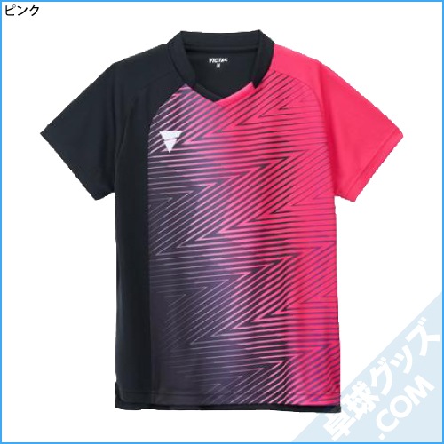 V-GS551�ʥ����ॷ��ġ�