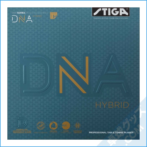 DNA�ϥ��֥�å� H