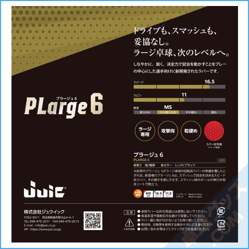 �ץ顼����6