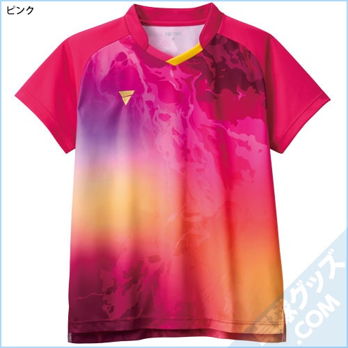 V-GS601�ʥ����ॷ��ġ�