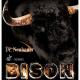 �ڼ��������ۥХ�����