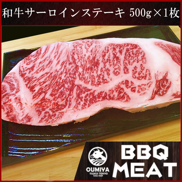 BBQµ󥹥ơ500g1