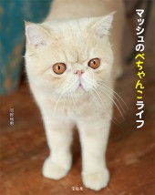 マッシュのぺちゃんこライフ | 商品カテゴリ一覧,宝島社公式商品