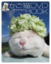 かご猫DVD BOOK | 商品カテゴリ一覧,宝島社公式商品 | | 宝島