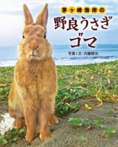 茅ヶ崎海岸の野良うさぎ ゴマ | 商品カテゴリ一覧,宝島社公式商品