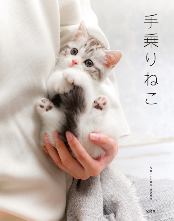 手乗りねこ | 商品カテゴリ一覧,宝島社公式商品 | | 宝島チャンネル