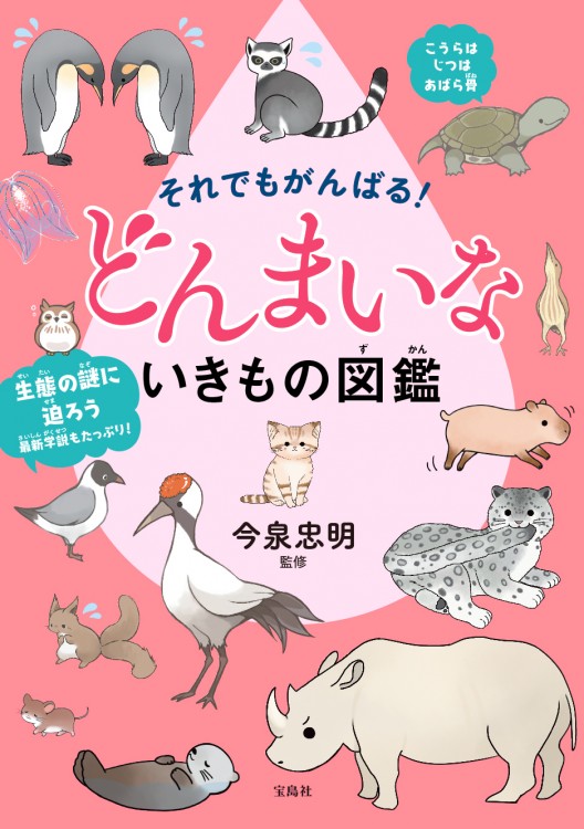 それでもがんばる! どんまいないきもの図鑑✭7冊セット それでもがんばる! どんまいないきもの図鑑 | 商品カテゴリ一覧