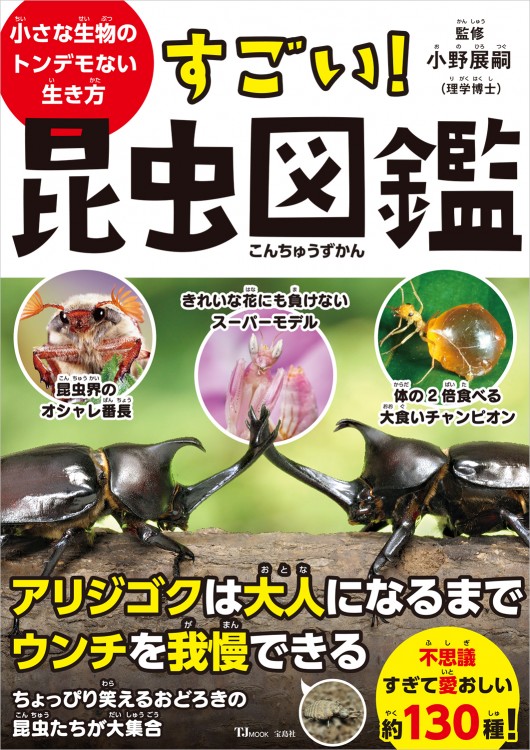 すごい！ 昆虫図鑑 | 商品カテゴリ一覧,宝島社公式商品 | | 宝島チャンネル