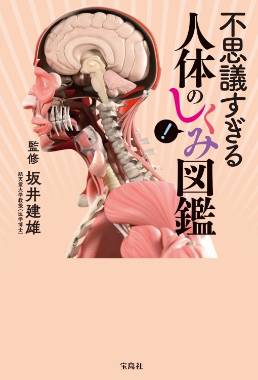 大型本・図鑑　驚異の人体　不思議な「わたしたち」のしくみ Amazon.co.jp: 図解からだのしくみがわかる本: 驚異の人体