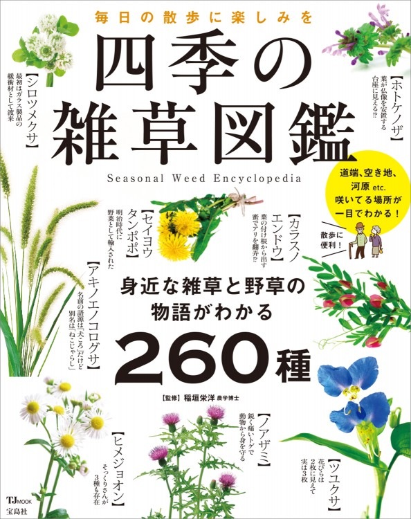四季の雑草図鑑 商品カテゴリ一覧 宝島社公式商品 宝島チャンネル 四季の雑草図鑑 商品カテゴリ一覧 宝島社公式商品 宝島チャンネル