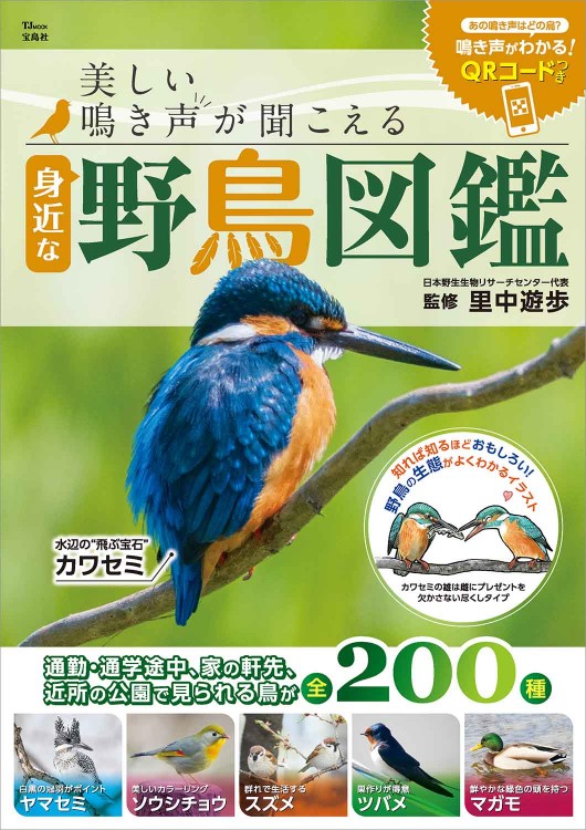 美しい鳴き声が聞こえる 身近な野鳥図鑑 | 商品カテゴリ一覧