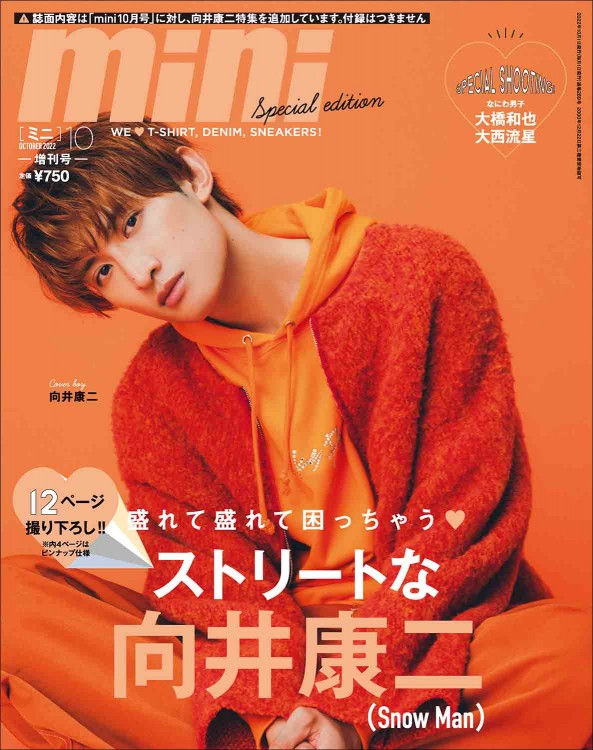 【美品・おまけ同封】 Man向井康二 公式写真 494枚セット 美品・おまけ同封】 Man向井康二 公式写真 494枚セット ファン購読