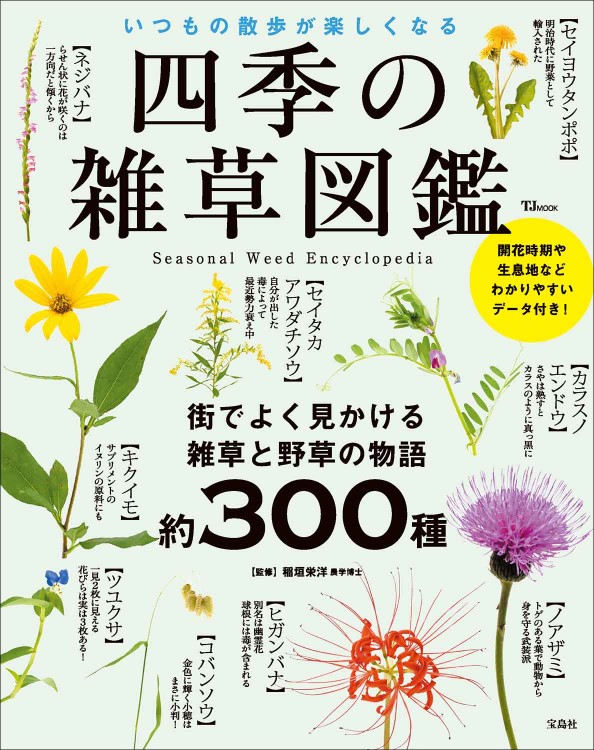 草花百種　全4冊 四季の雑草図鑑 いつもの散歩が楽しくなる | 商品カテゴリ一覧,宝島社