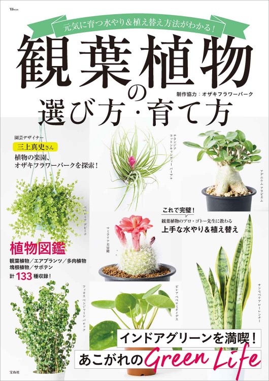 観葉植物の選び方・育て方 | 商品カテゴリ一覧,宝島社公式商品 
