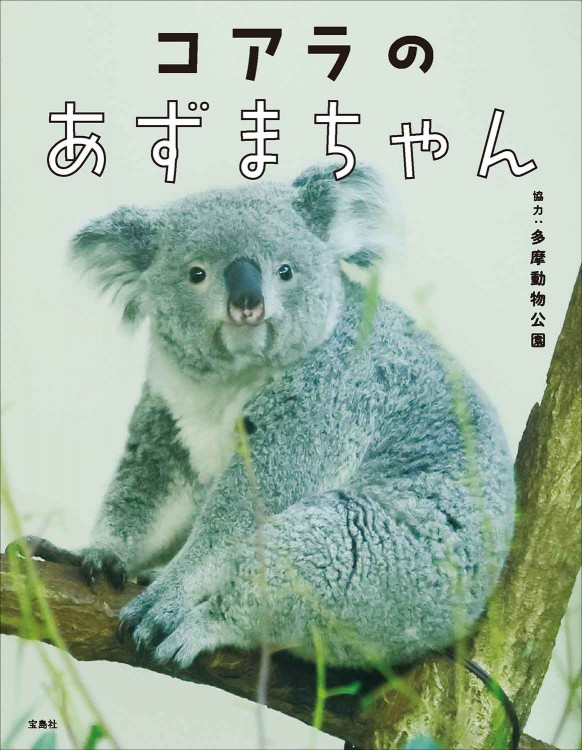 コアラのあずまちゃん | 商品カテゴリ一覧,宝島社公式商品 | | 宝島