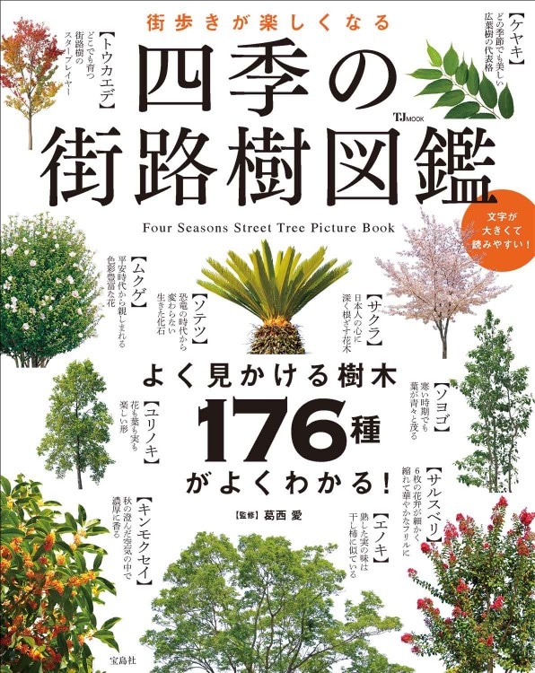 街歩きが楽しくなる 四季の街路樹図鑑 | 商品カテゴリ一覧,宝島社公式