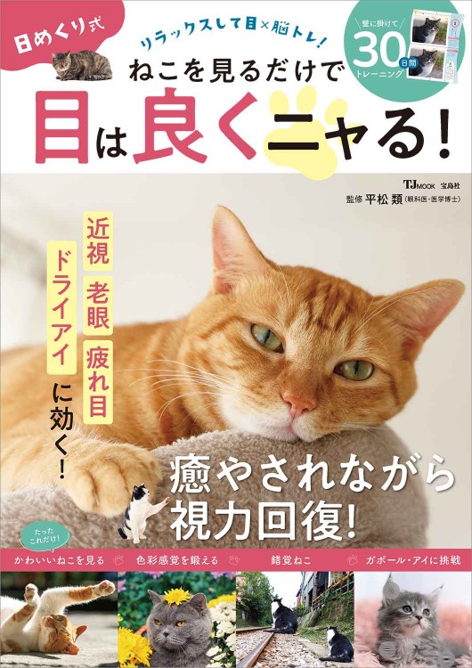 日めくり式 ねこを見るだけで目は良くニャる！ | 商品カテゴリ一覧