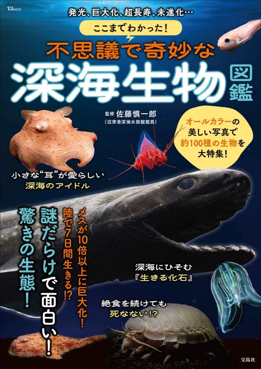 ここまでわかった！ 不思議で奇妙な深海生物図鑑 | 商品カテゴリ一覧