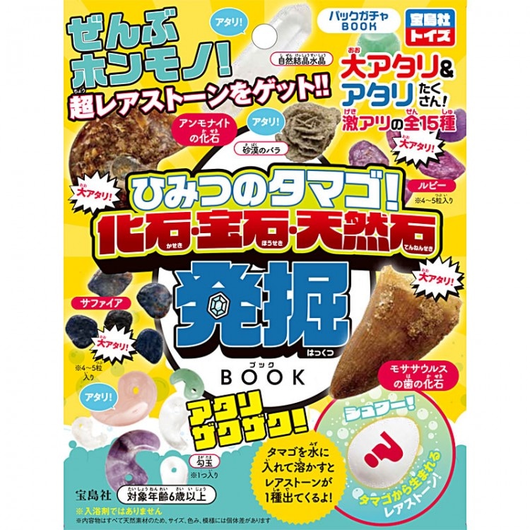 謎の石 ひみつのタマゴ! 化石・宝石・天然石発掘BOOK | 商品カテゴリ一覧