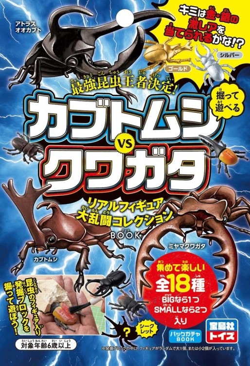 最強昆虫王者決定！ 掘って遊べる カブトムシ VS クワガタ リアル