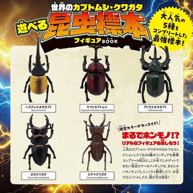 クワガタ王×カブト王 超絶バトル大図鑑 | 商品カテゴリ一覧,宝島社公式
