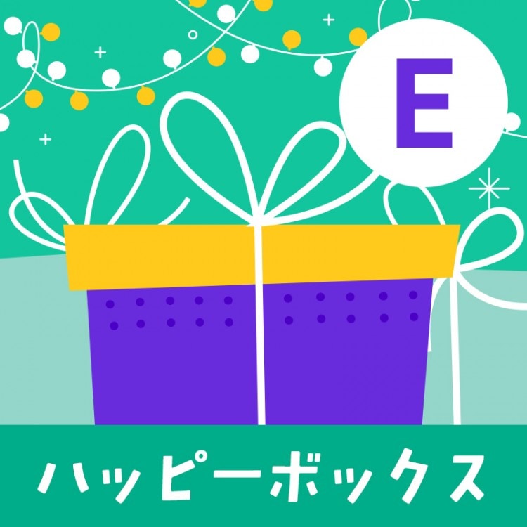 【対象2点で10%OFF】ハッピーボックス E