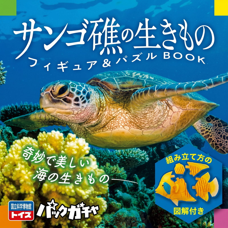 サンゴ礁の生きもの フィギュア＆パズルBOOK | 商品カテゴリ一覧