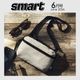 smart 2026ǯ6���