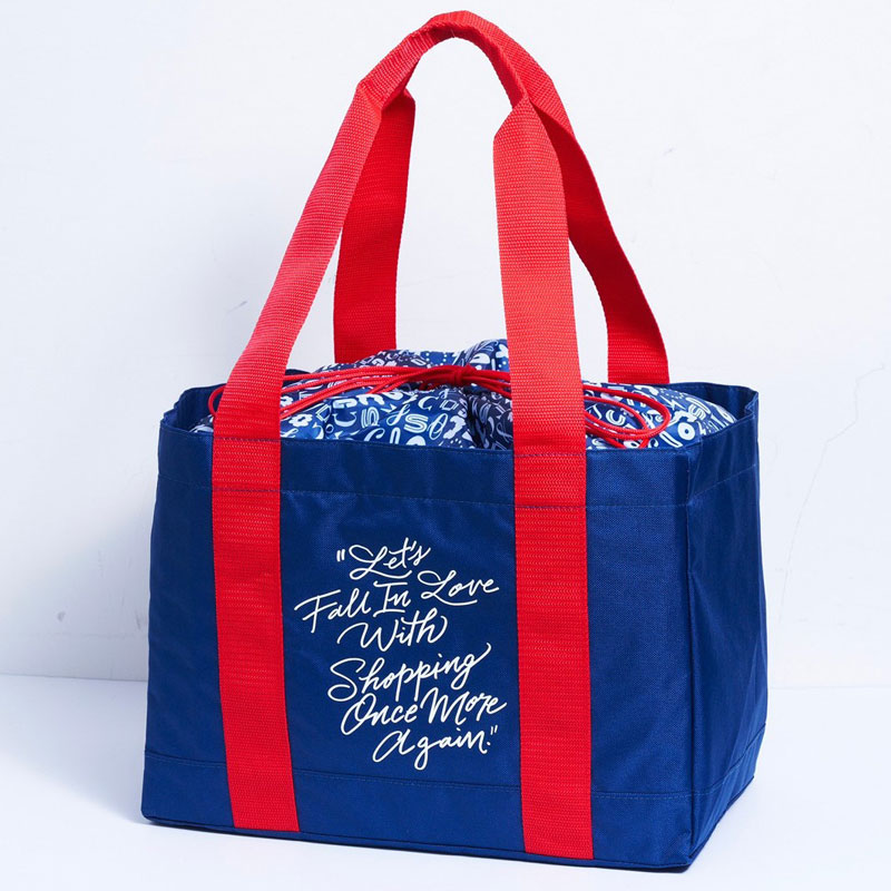 【コストコムック本 付録】保冷も保温もできるレジカゴバッグ 関根正悟