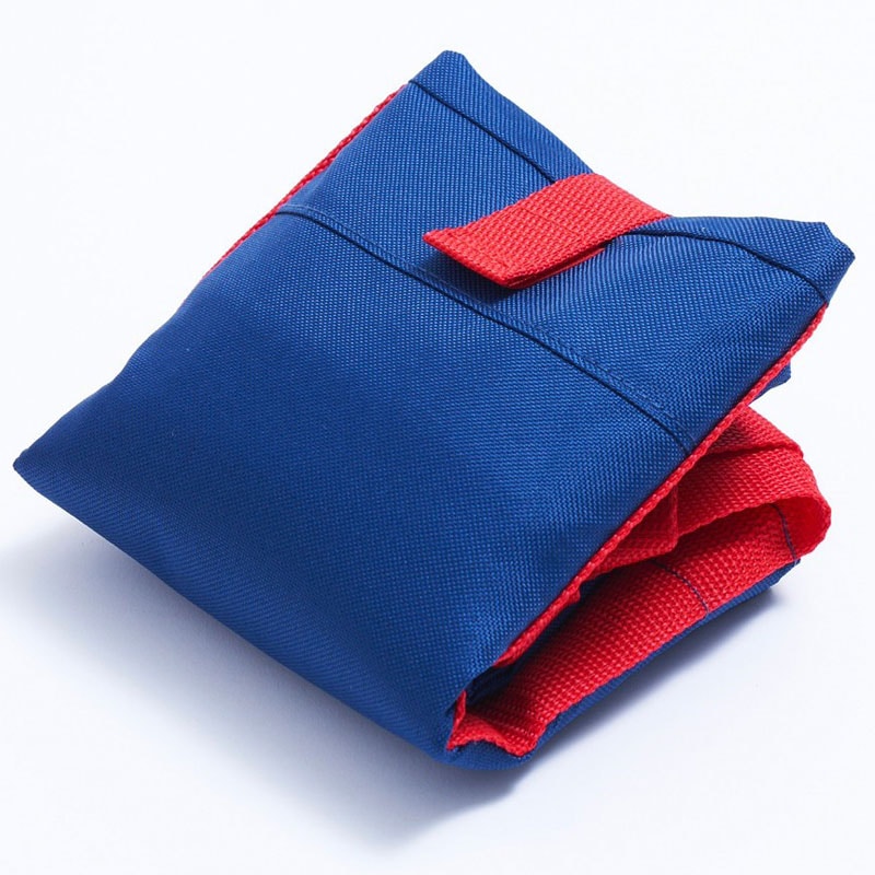 【コストコムック本 付録】保冷も保温もできるレジカゴバッグ 関根正悟