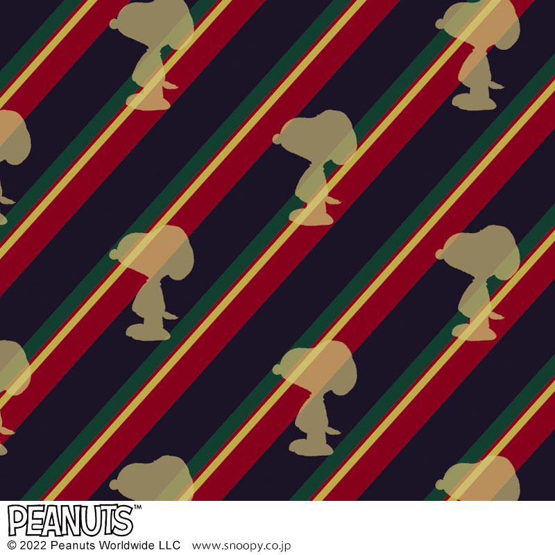 【ローソン限定付録 ムック本 付録】スヌーピー カードケース ブラック